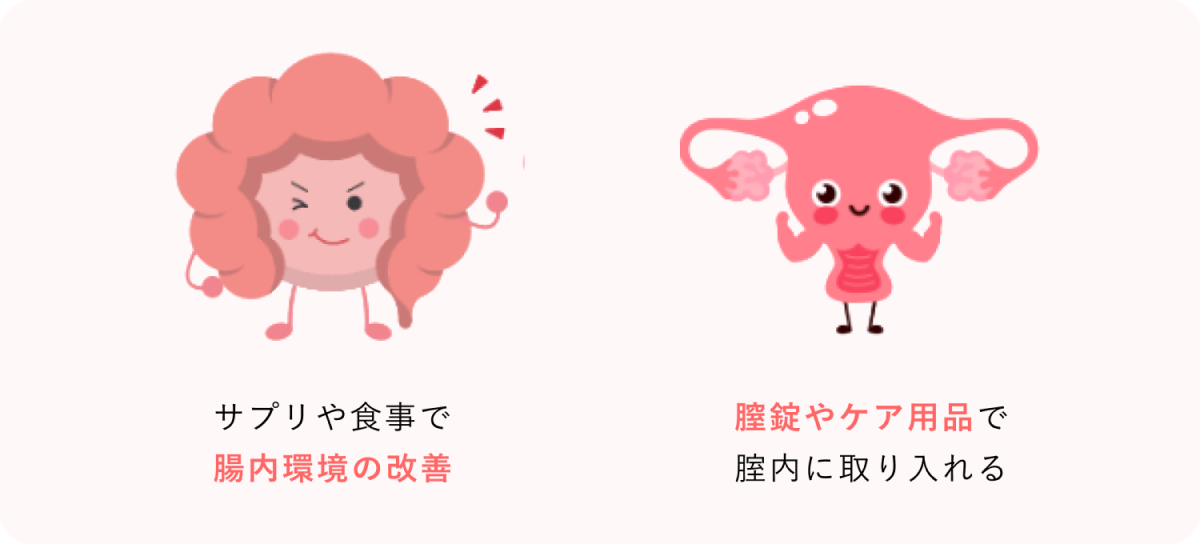 腸活はサプリや食事で改善、ちつは膣剤やケア用品で取り入れよう