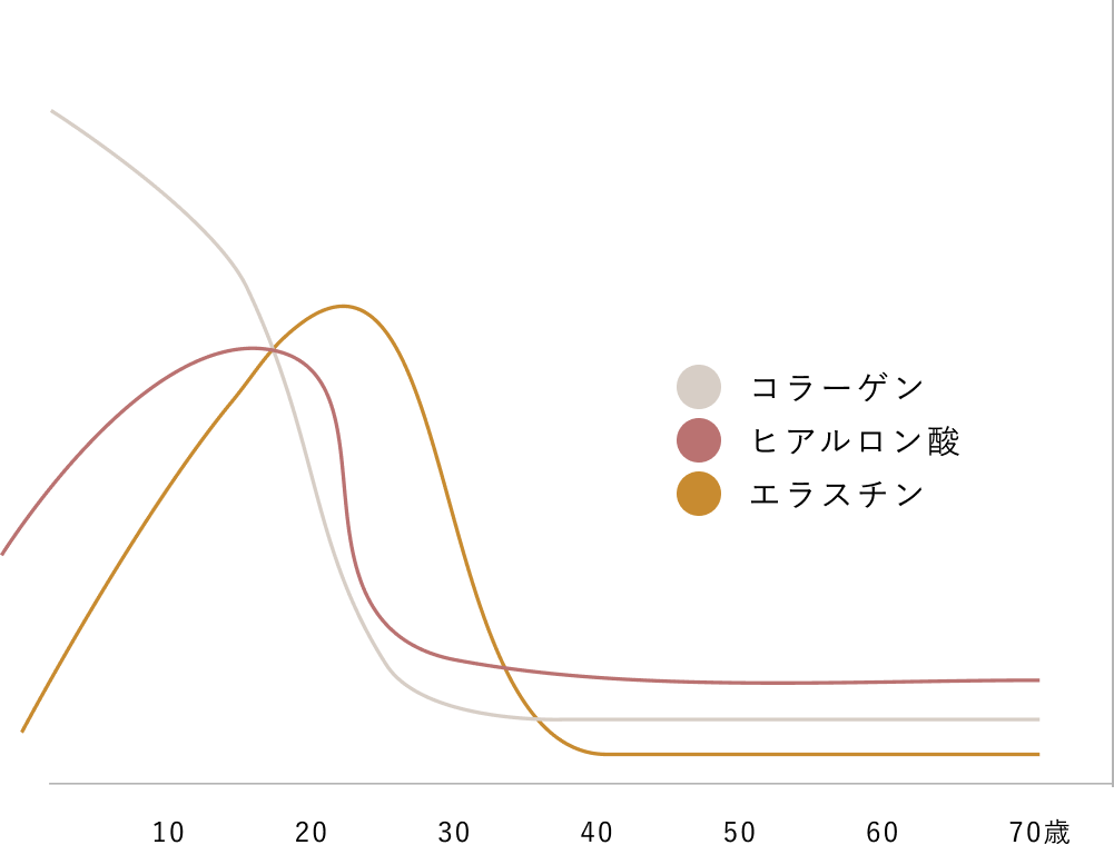 コラーゲン、ヒアルロン酸、エラスチン