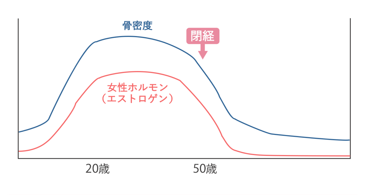 骨密度もエストロゲンも20代〜50代をピークに減少