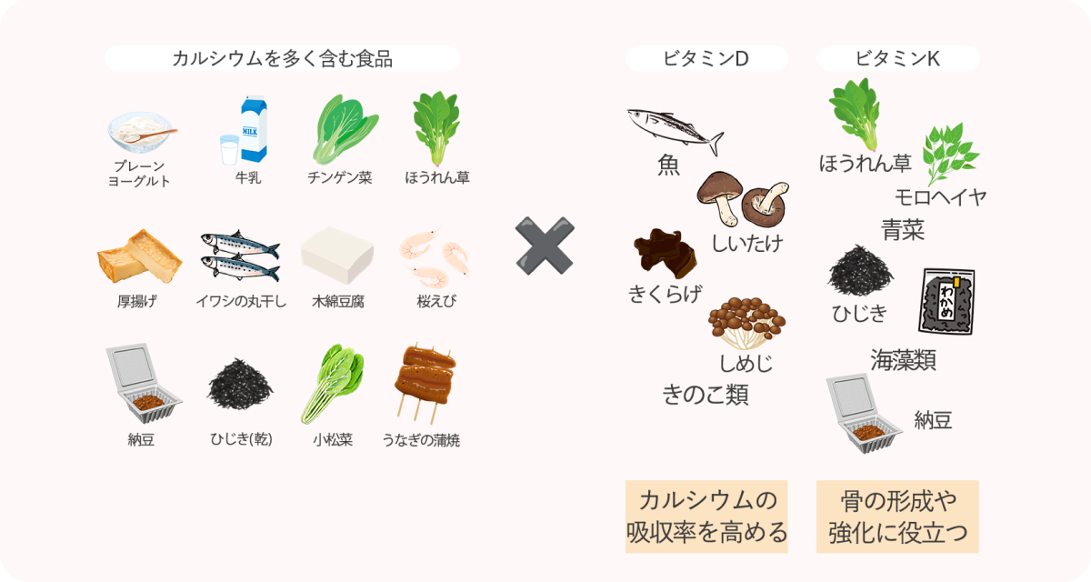 カルシウムを多く含む食品、ビタミンDtoビタミンKが多く含まれる食品のリスト