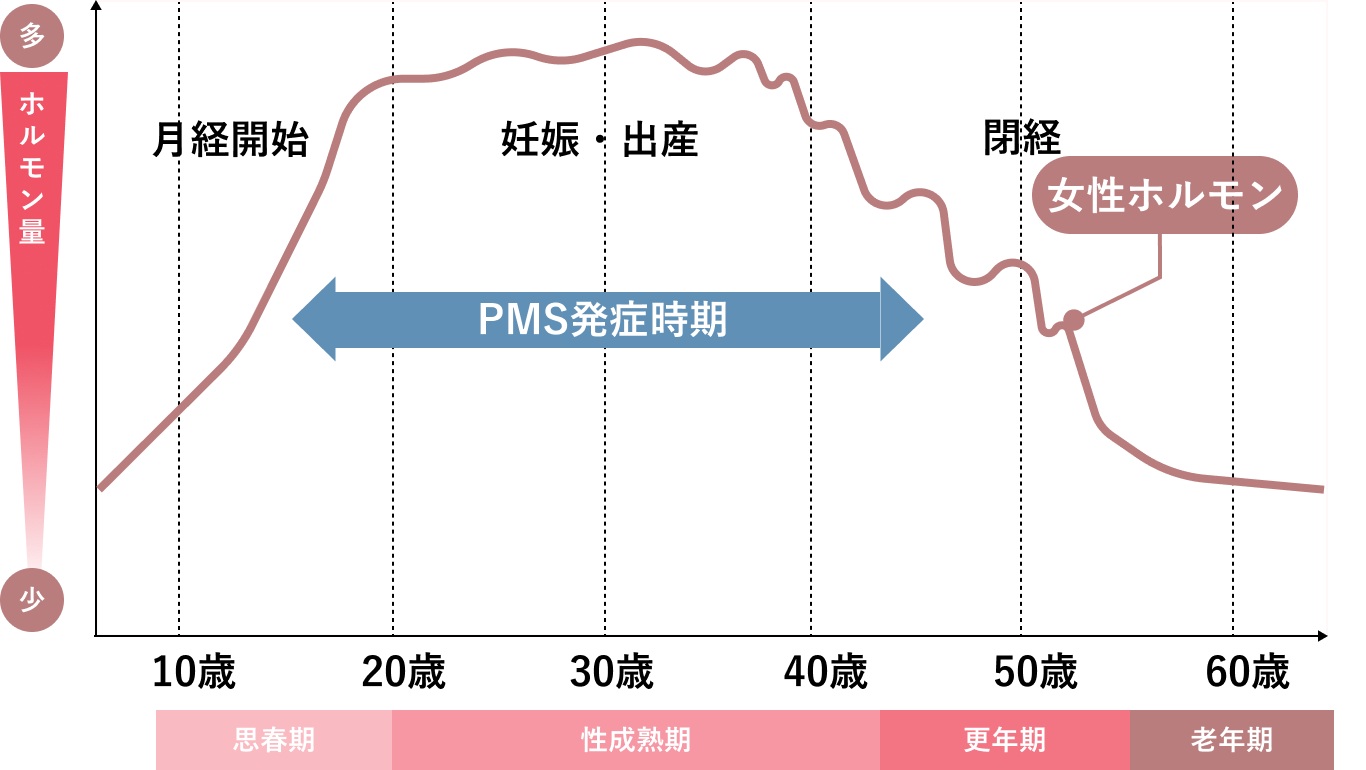 年齢によるホルモンの影響の変化の図